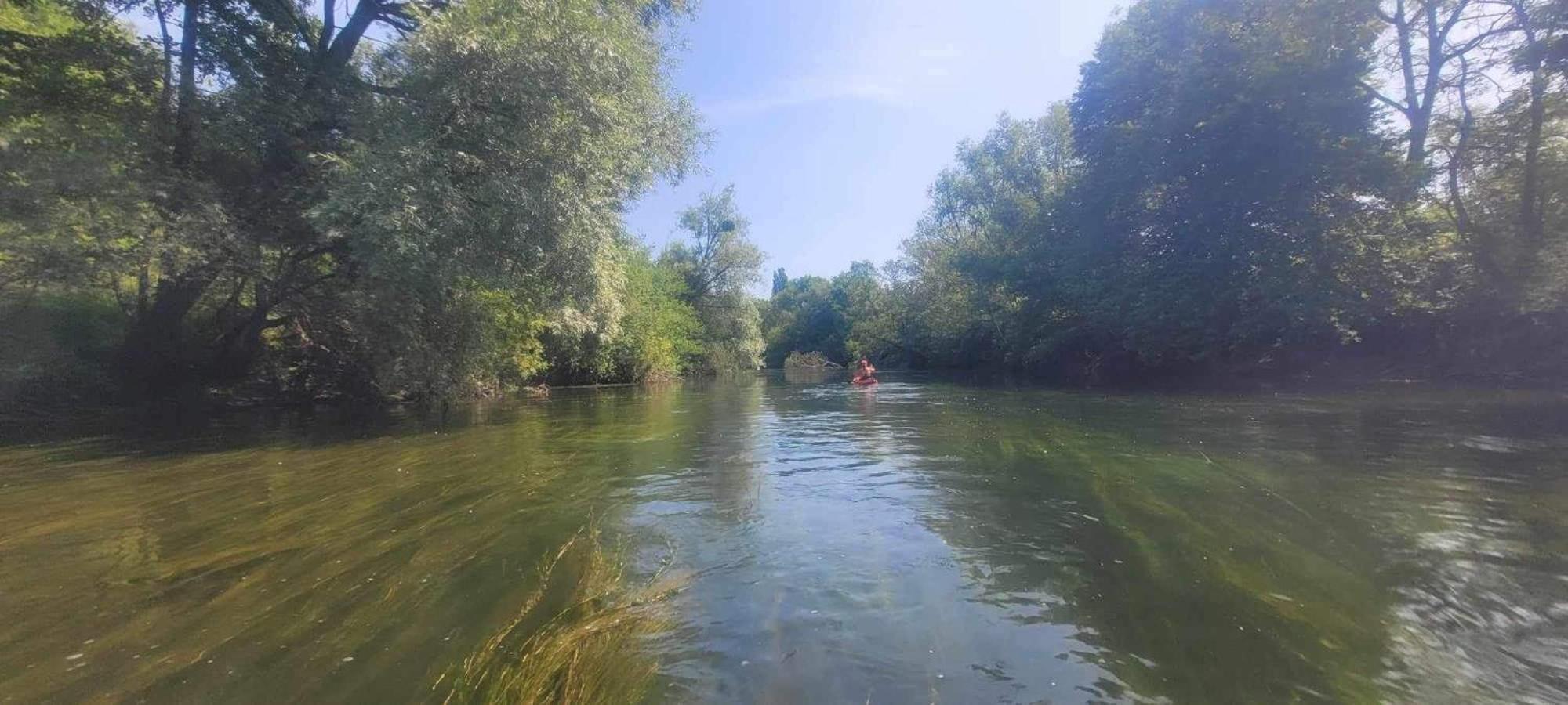 Detente A Sorques Montigny-sur-Loing ภายนอก รูปภาพ